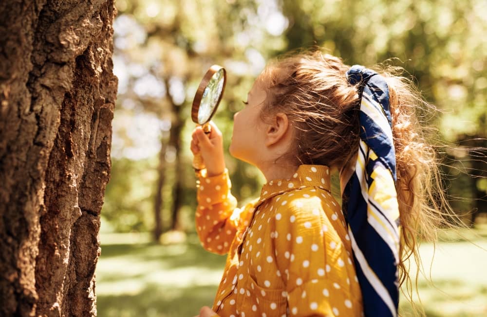 Our early learning centre gardens promote connections between nature and people, while providing playgrounds that support the social, emotional and cognitive development