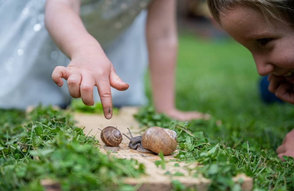 Our early learning programs are designed around your child’s current needs and interests, so that they acquire knowledge and skills for future success.