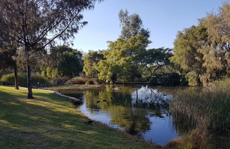 Russell Brown Adventure Park at Mosman Park